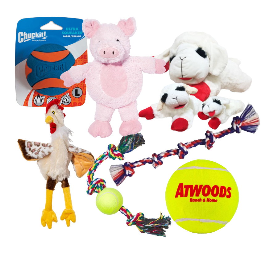 Micro Promo Image