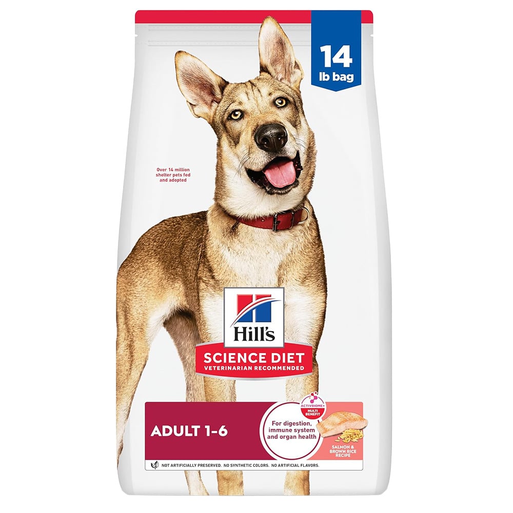 image of Adult Salmon and Brown Rice Dry Dog Food, 14 lb