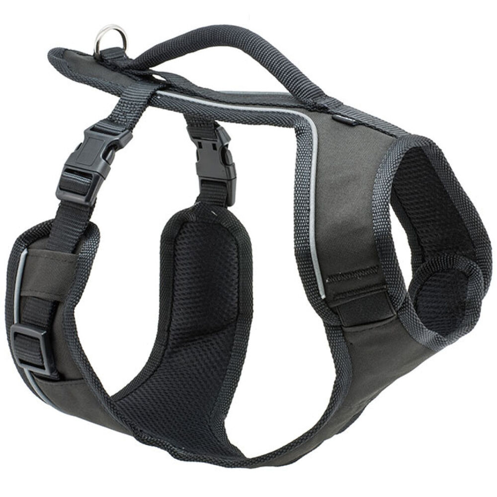 image of EasySport Harness