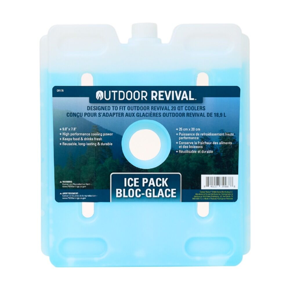 image of Ice Pack, Small