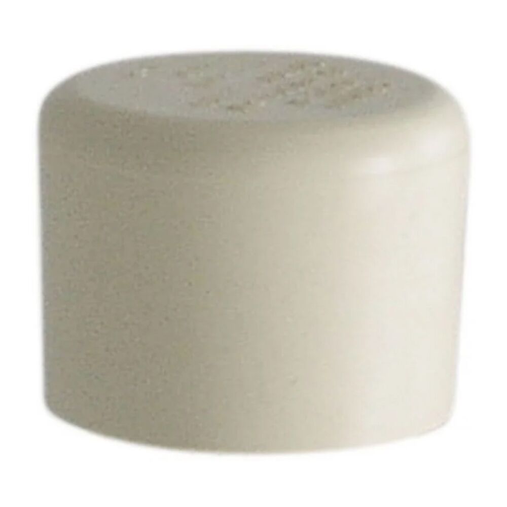 image of 3/4 Inch CPVC Cap Slip FCP CA-34