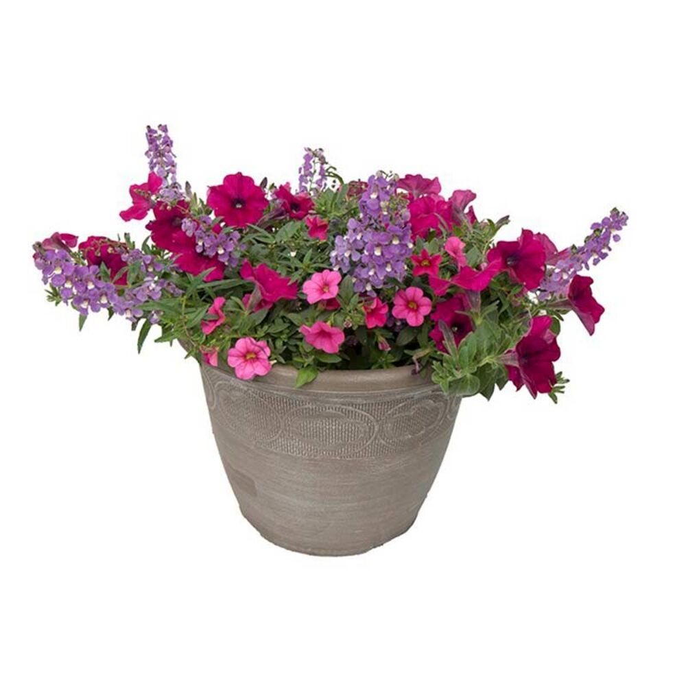 image of 12 in Combo Patio Pot