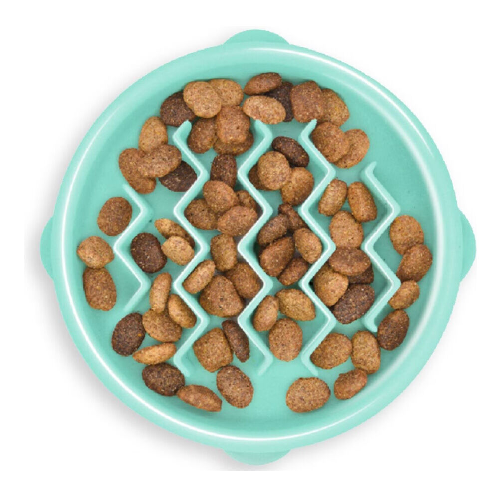 image of Slow Feeder Dog Dish- Non-Skid, Mint, .75 c