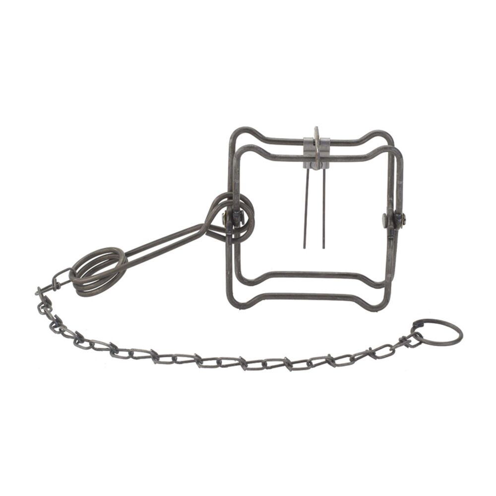 image of Body Trap, 110