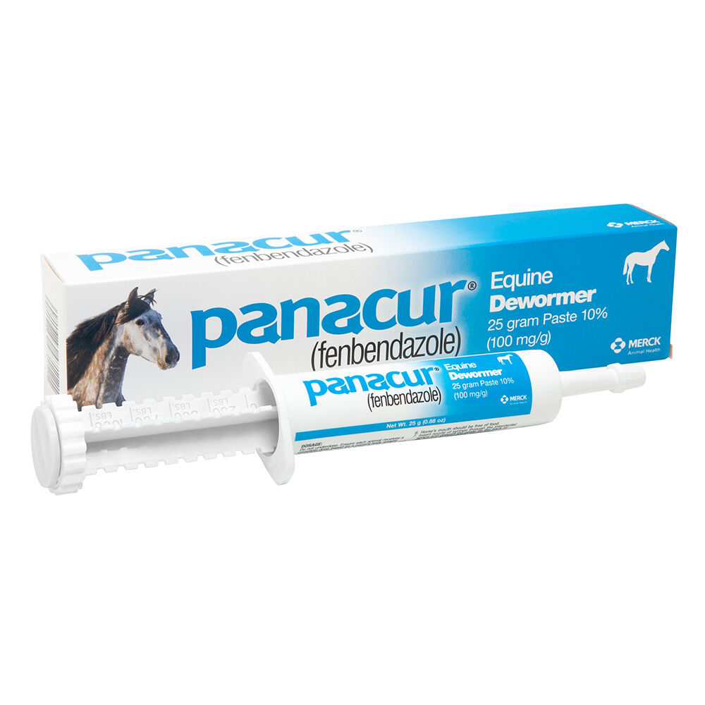 image of Panacur Equine Dewormer Paste, 25g
