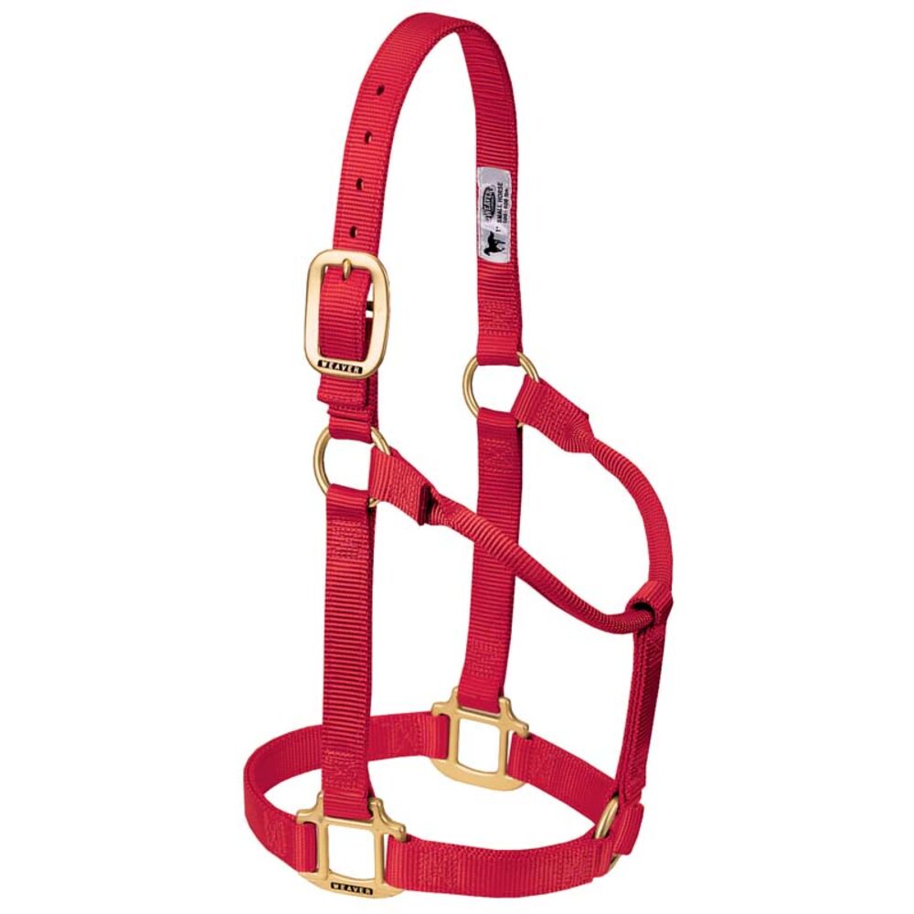 image of Non-Adjustable Nylon Horse Halter- Red, Yearling