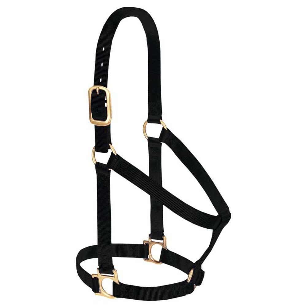 image of Non-Adjustable Nylon Horse Halter- Black, Small