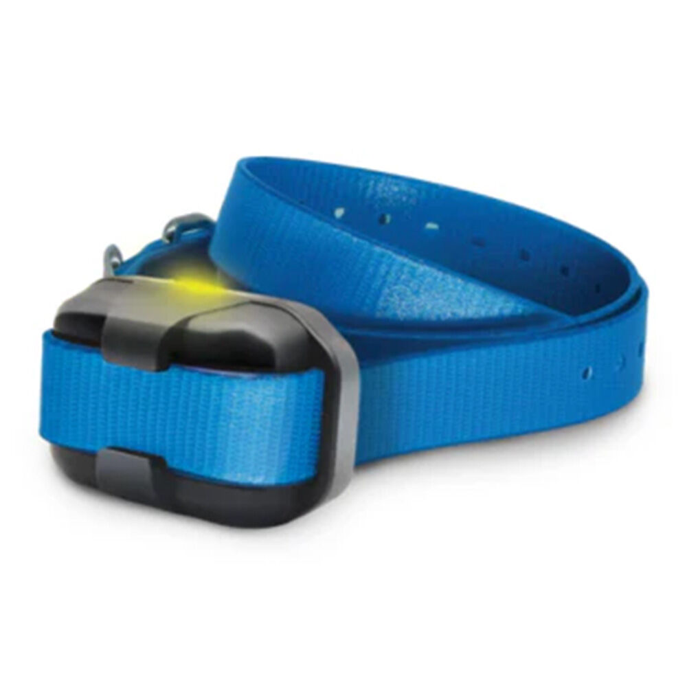 image of 280X/200iQ Additional Receiver, Blue