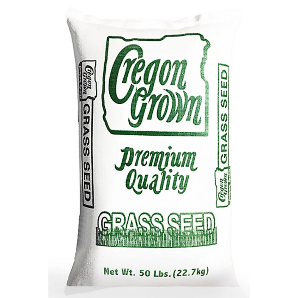 image of Annual Ryegrass Grass Seed- 50 lb
