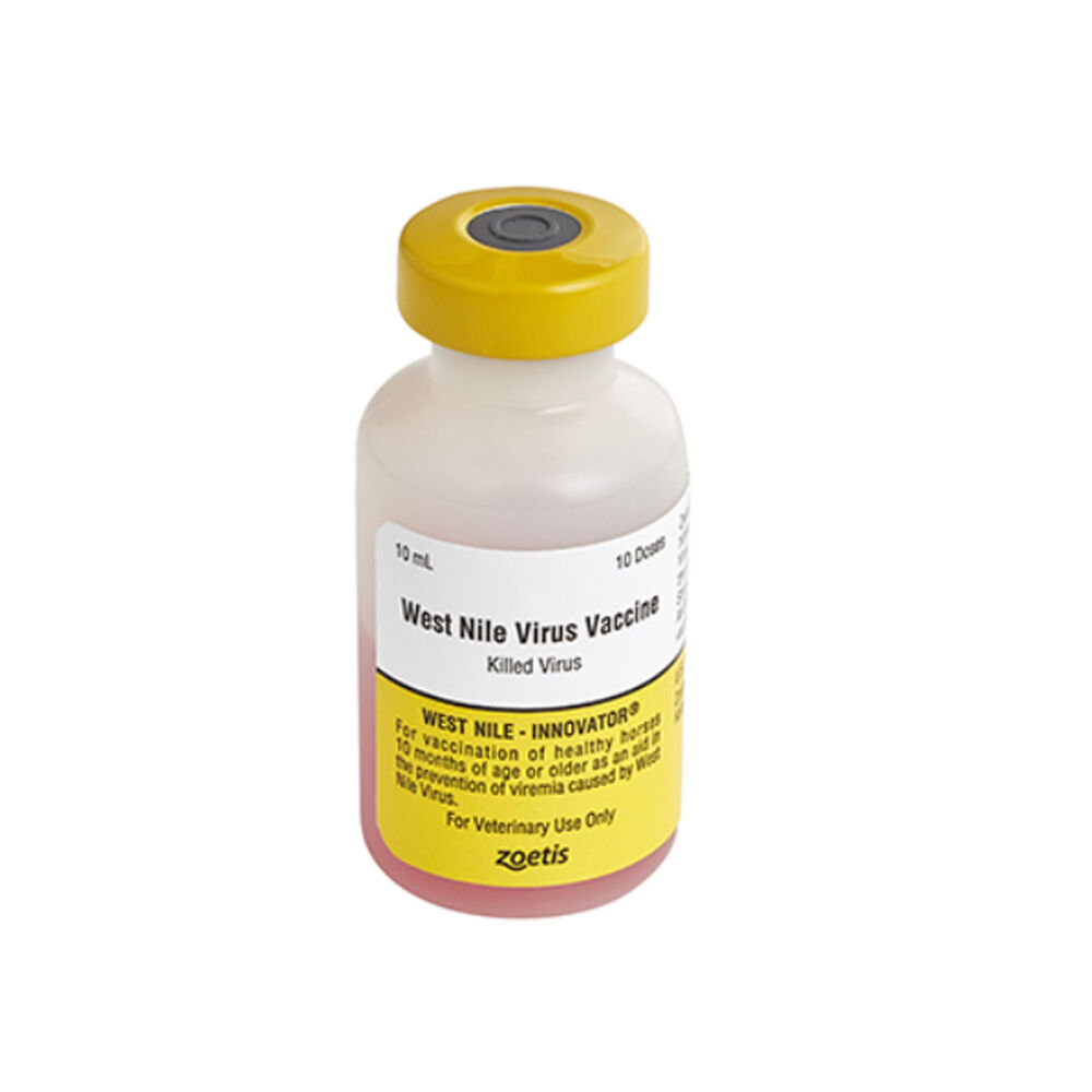image of West Nile-Innovator