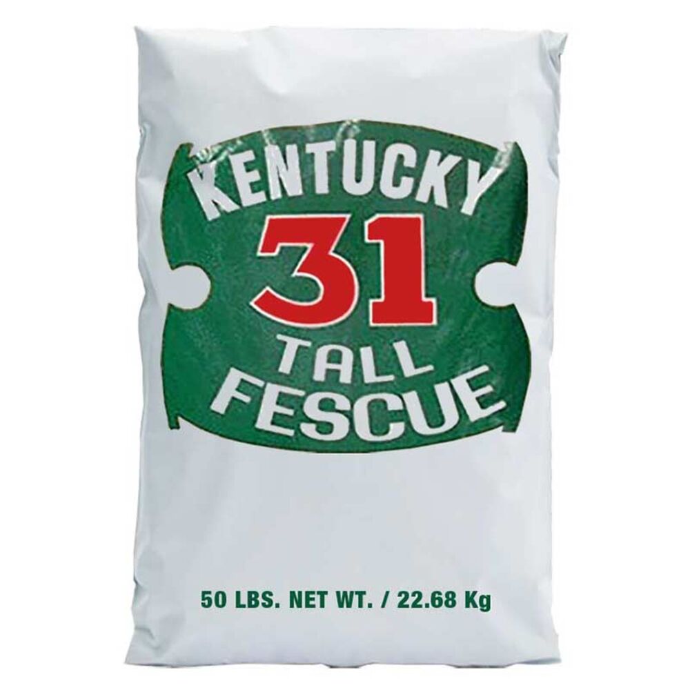 image of Tall Fescue Grass Seed, 50 lb