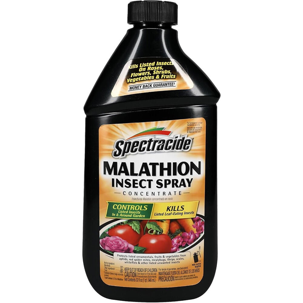 image of Malathion Insect Spray Concentrate, 32 oz