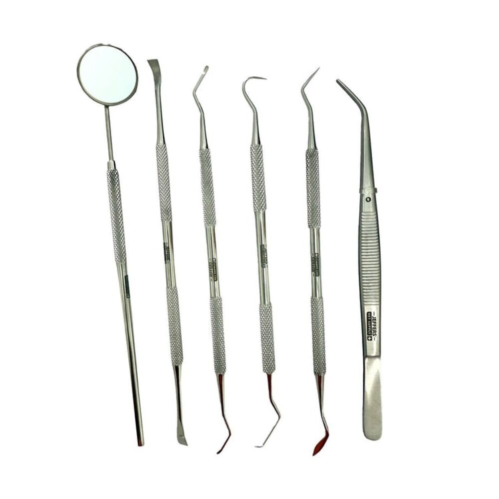 image of Pet Dental Care Kit – Stainless Steel Scaler and Scraper Set for Dogs and Cats – Teeth Cleaning & Tartar Remover Tools, 6 Piece Pack