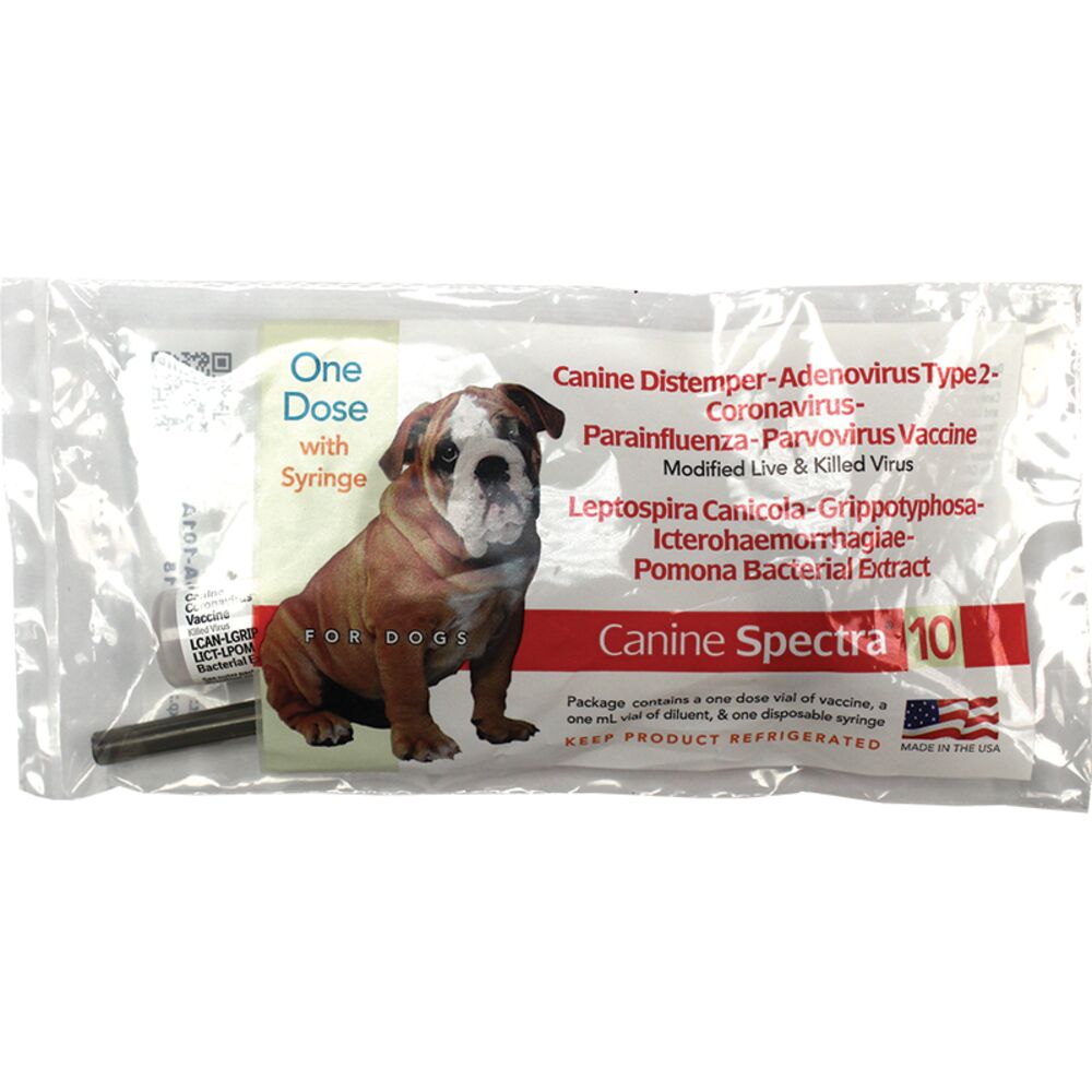 image of Canine Spectra 10 Vaccine with Syringe