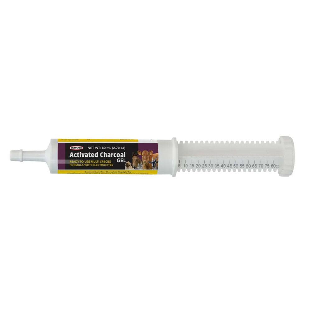image of Activated Charcoal Gel, 80 mL
