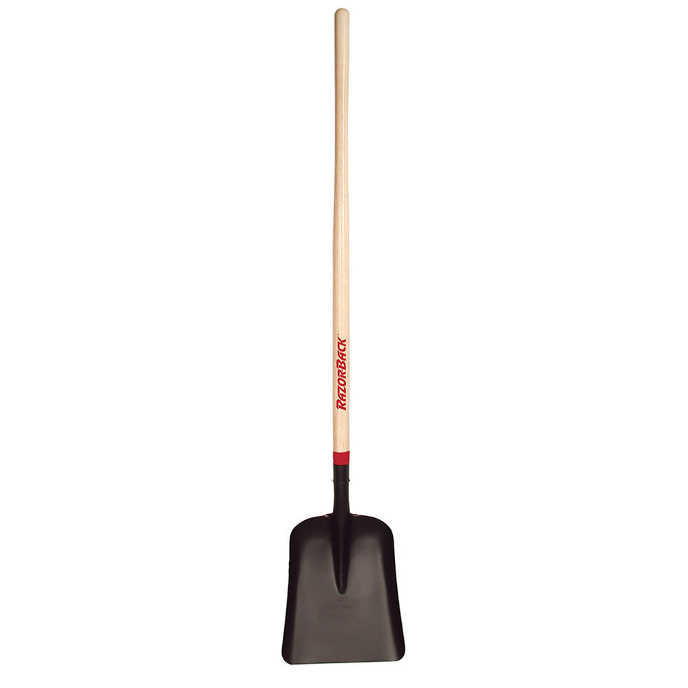 image of #2 General Purpose Steel Scoop