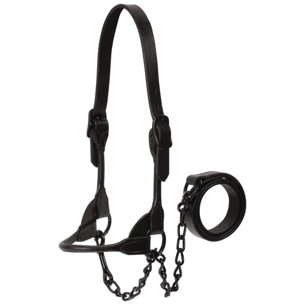 image of Black Magic Show Halter, Medium