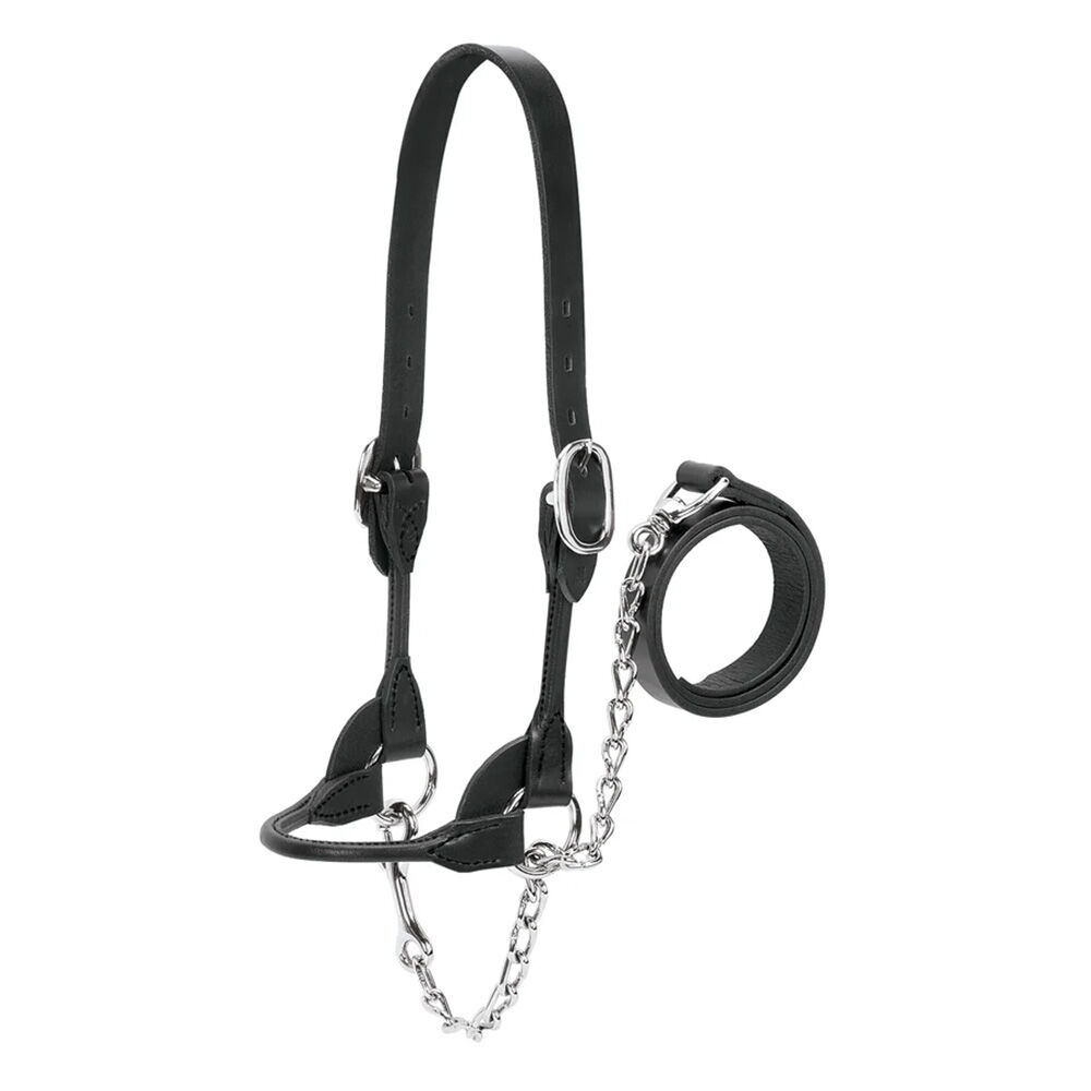 image of Dairy/Beef Rounded Show Halter, Medium