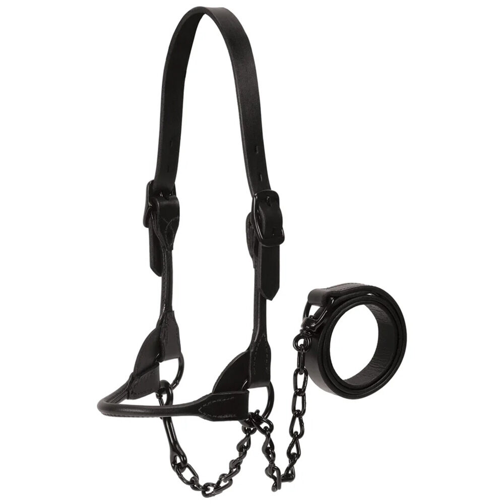 image of Black Magic Show Halter