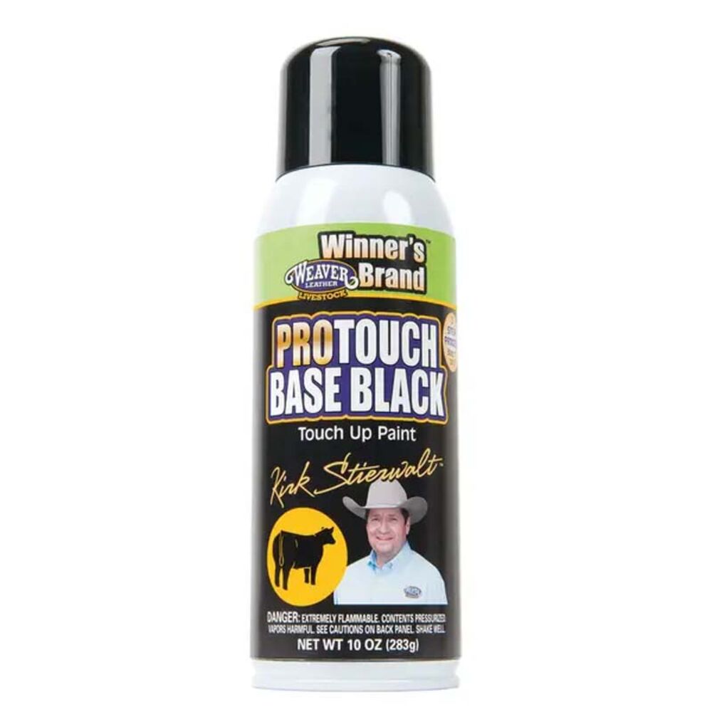 image of ProPaint Base Black