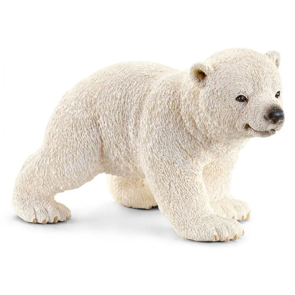 image of Polar bear, cub, walking