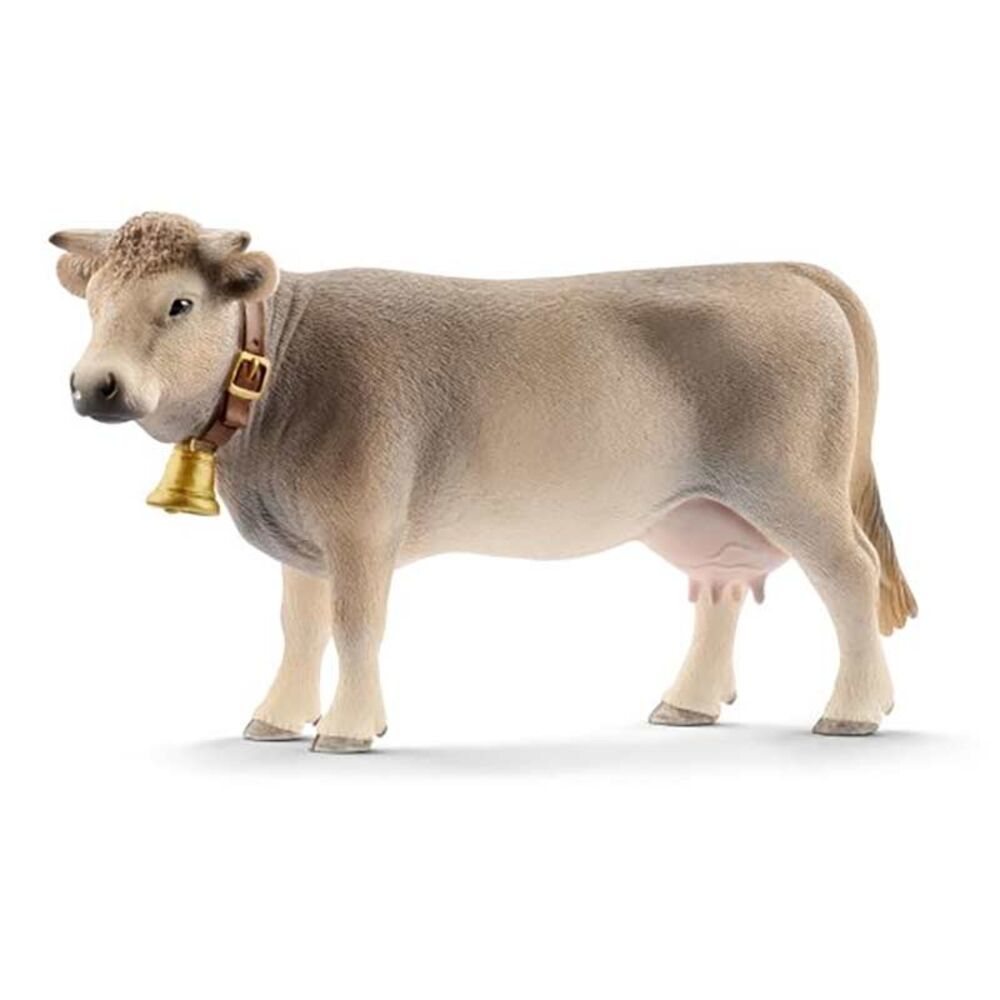 image of Braunvieh, cow