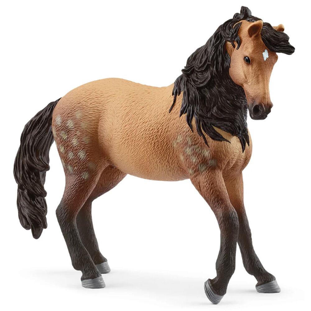 image of Andalusian, mare
