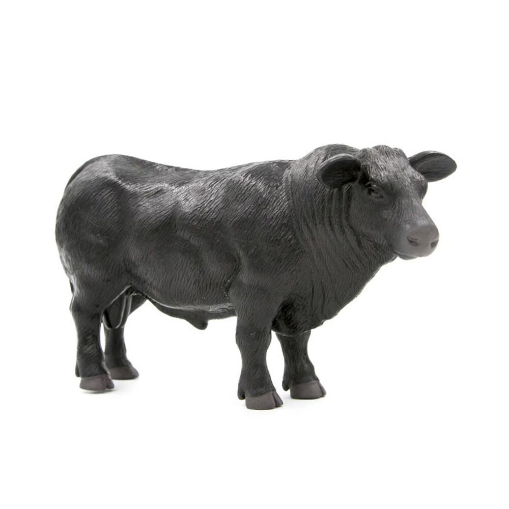 image of Angus Bull