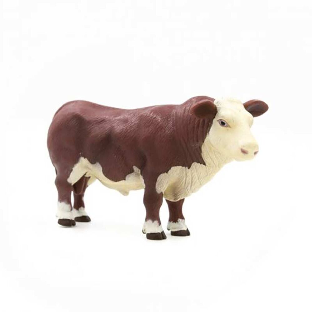 image of Hereford Bull