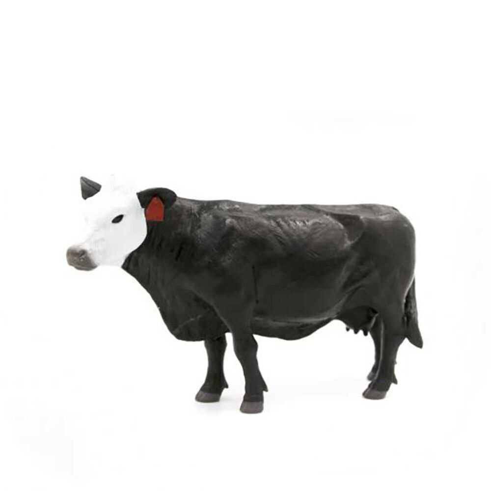 image of Black/White Face Cow