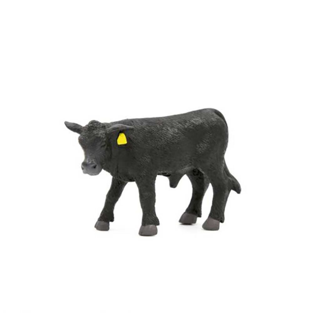image of Angus Calf
