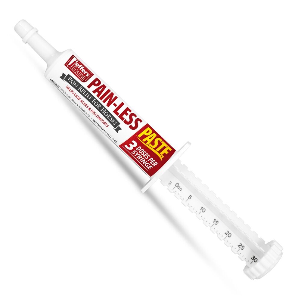 image of Equine Painless Paste for Horses – 30cc
