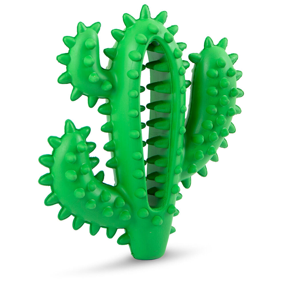 image of Cactus Natural Rubber Dental Chew Toy for Dogs for Healthy Chewing Habits - Medium