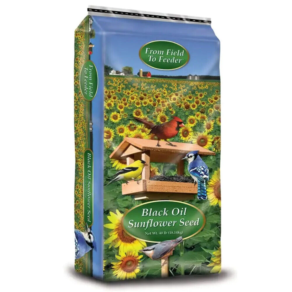 image of Black Oil Sunflower Seed, 25 LB