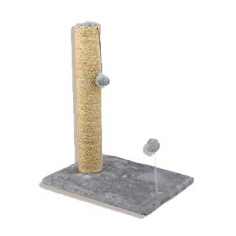 Cat Training and Behavior