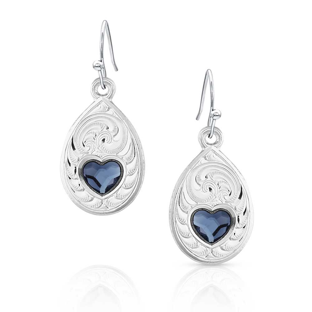 image of Montana Big Sky Artistry Earrings