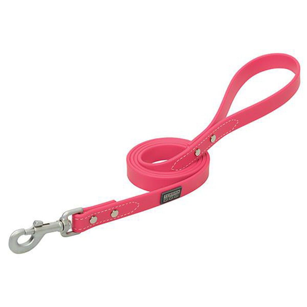 image of Brahma Webb Dog Leash, Hot Pink, 3/4 in x 6 ft