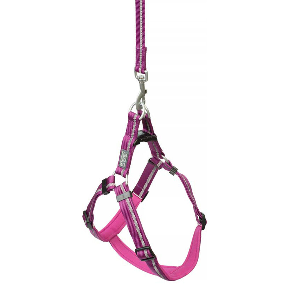 image of Reflective Neoprene Lined Harness