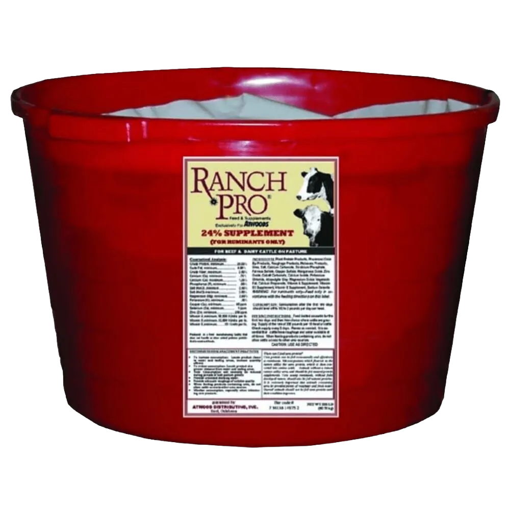 Cattle Feed Supplements