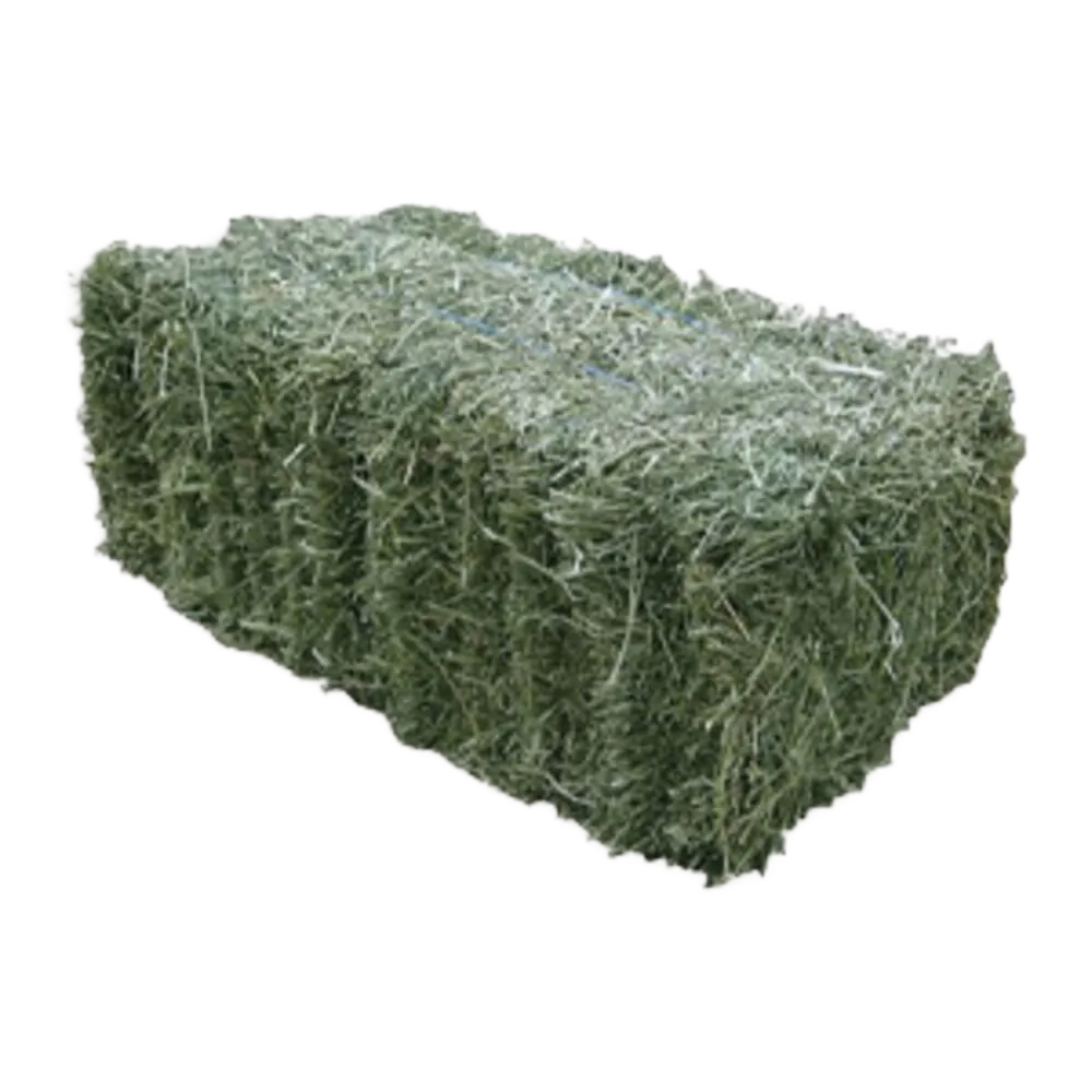 Hay and Foraging