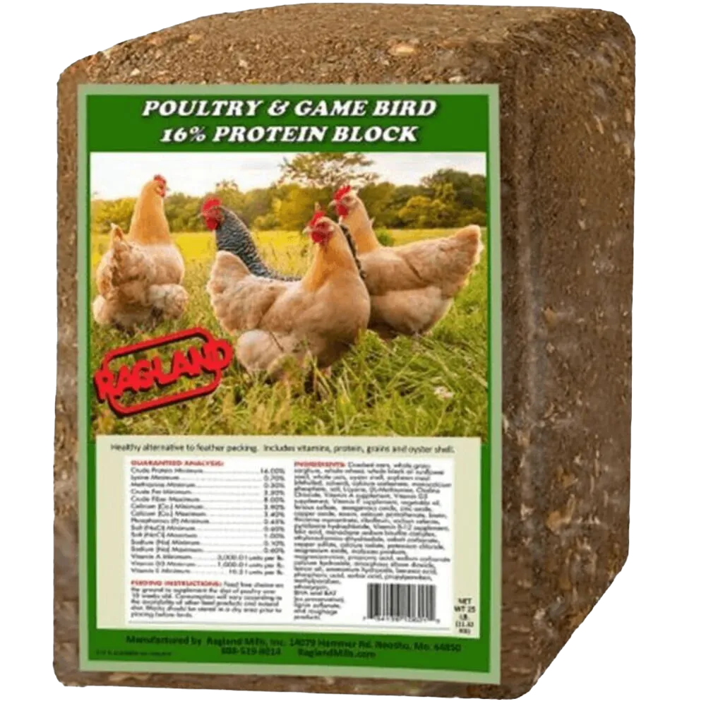 Poultry Feed Supplements
