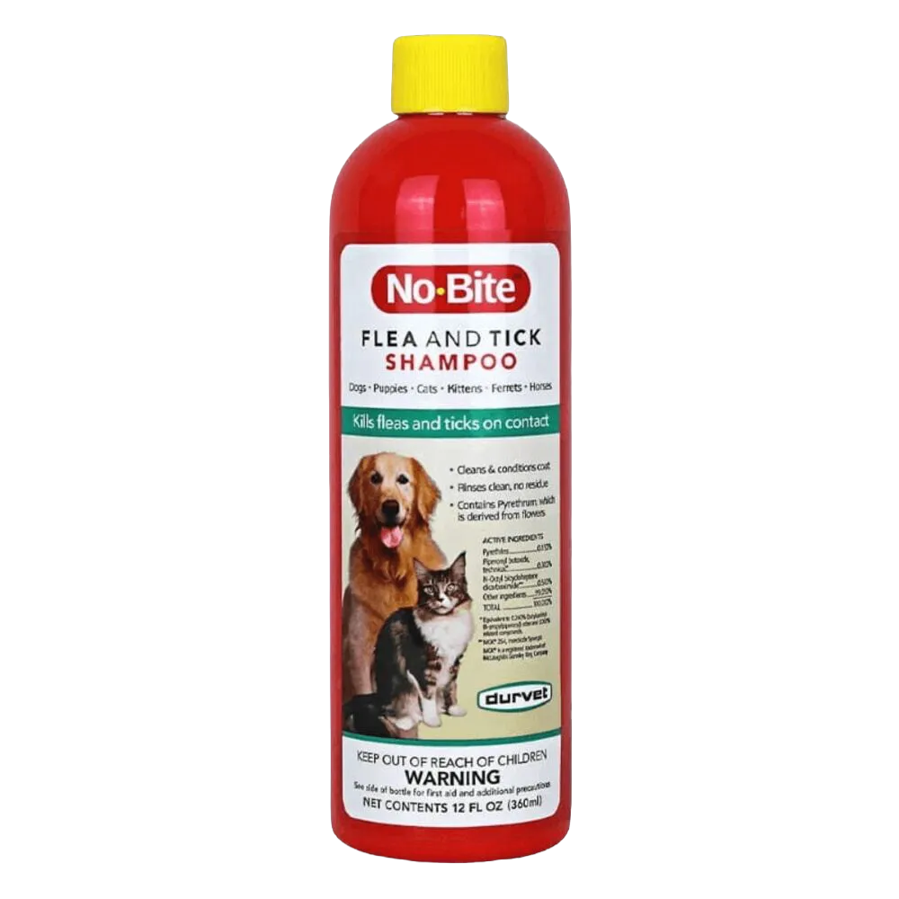 Cat Flea & Tick Grooming