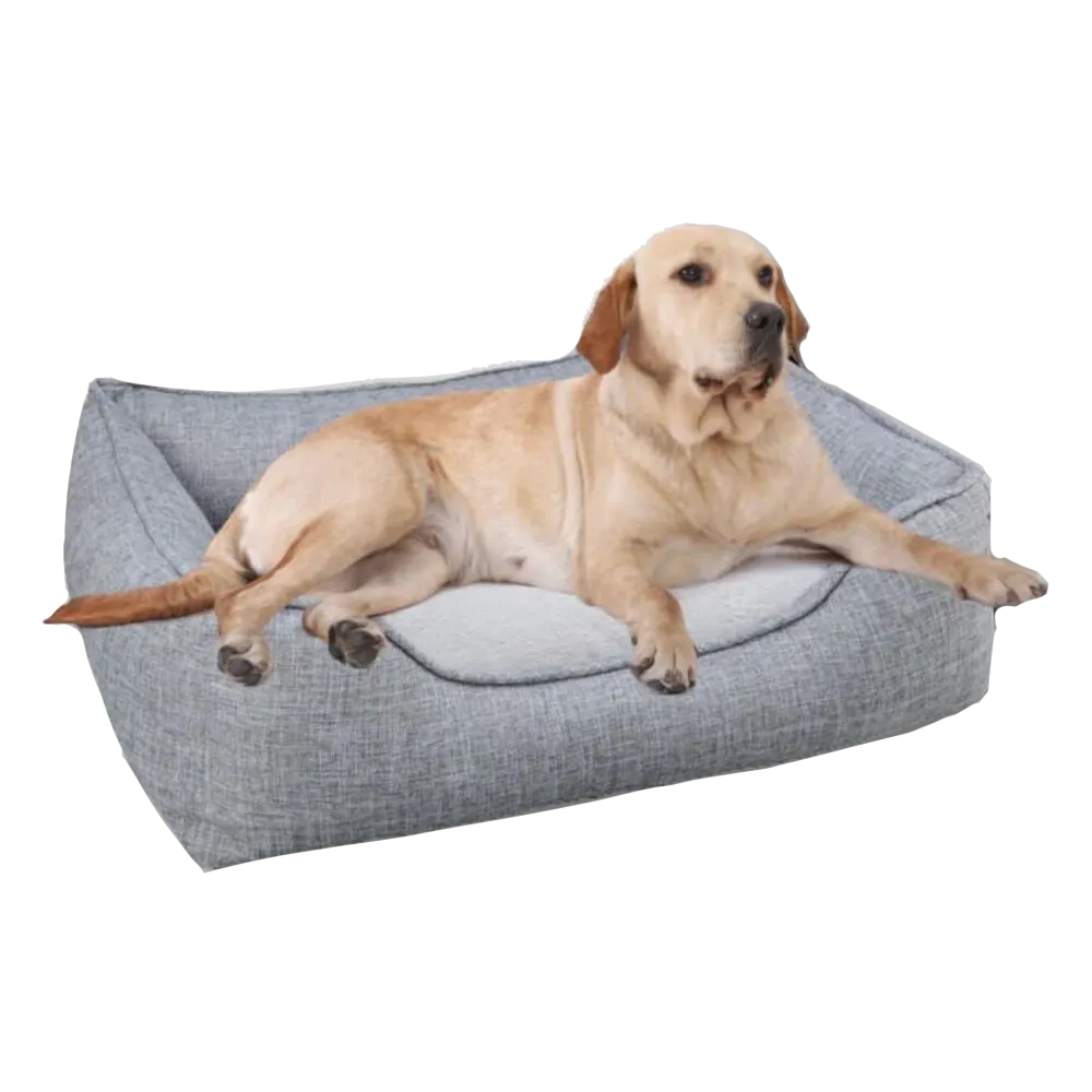 Dog Beds & Pillows
