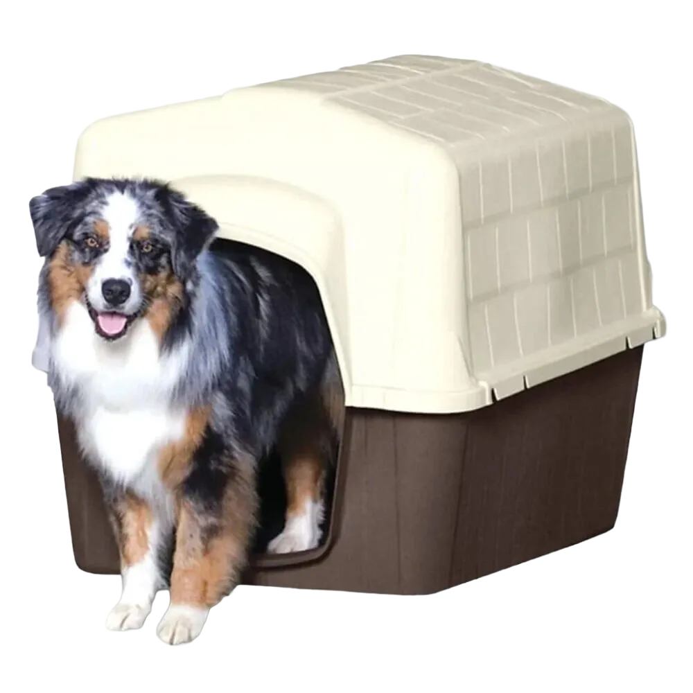 Dog Crates, Houses & Kennels