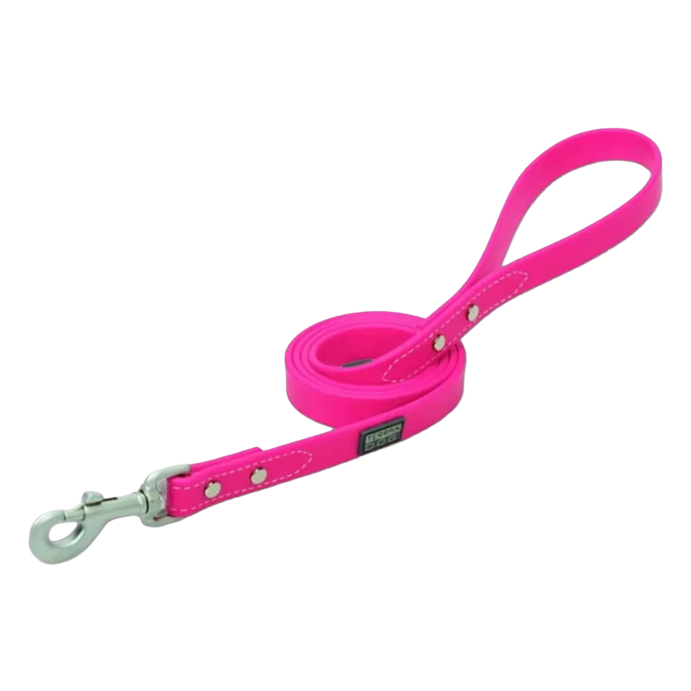 Dog Leashes