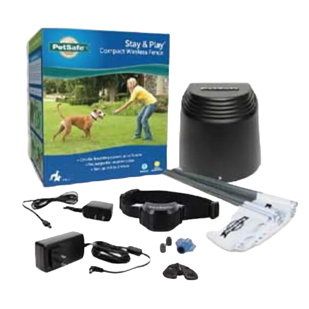 Dog Training and Behavior