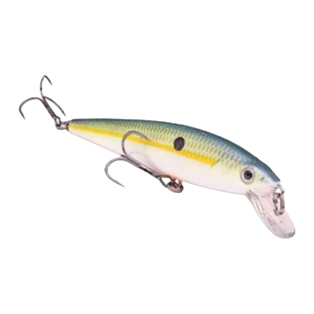 Baits and Lures
