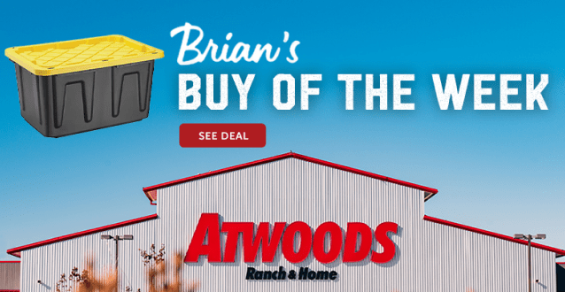 Brian's Buy of the Week - storage tote